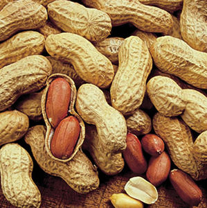 เมล็ดถั่วลิสงอบแห้งแบบ2024ออร์แกนิกสำหรับคนผิวขาวอบแห้งเกรดขนมขบเคี้ยวพร้อมกล่องใส่ - Product Image 3