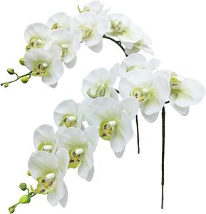 Agente Mayorista de Orquídeas Artificiales, Flores y Paquetes de Hojas, Orquídeas Phalaenopsis Artificiales, HCM - Product Image 2