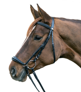 Bridon Hannover - Product Image 1