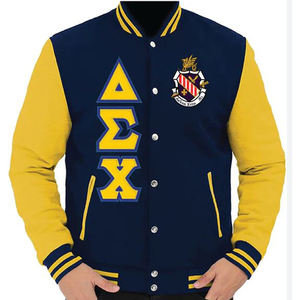 Veste universitaire personnalisée avec broderie sur le devant, Delta Chi Psi Phi, streetwear, hiver, équipe universitaire, letterman - Product Image 1