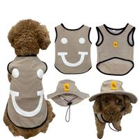 T-shirt vietnamien personnalisé pour homme, vêtement animaux de compagnie, à la mode, mignons, Cool, pour chien, petit manteau d'été, tendance