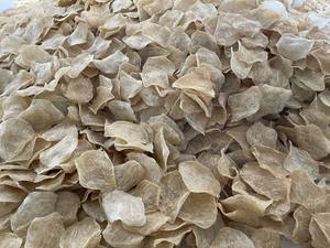 Vessie de poisson séchée du Vietnam, traitée et nettoyée, issue de Pangasius et Olothoides Biauritus, avec une taille et une forme stables pour l'exportation en vrac - Product Image 6