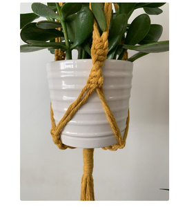 IFT idea debajo de 30 Gift idea para su Cstomustomizado acrame colgador de plantas Fo Wall and indindow Decoration - Product Image 3