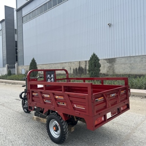 COREY 2026 Véhicules à trois roues/Tuk-Tuks 250cc à succès en Chine, vente directe d'usine - Product Image 5