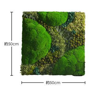 Paneles de reloj cuadrados modernos, hierba preservada, hogar, vida exterior, colgantes de arte para decoración de pared de restaurante - Product Image 2