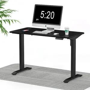 Tavolo elettrico regolabile in altezza bianco ergonomia Smart Computer in piedi economico Sit Stand Desk per lavoratore