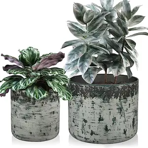 Customized manufacturer in India At best price Set of 2 Metal Plant Flower Pots Gardening Planters for Room Patio Garden Decor