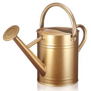 Bidon d'eau galvanisé compact et robuste idéal pour les petits balcons de jardins et les plantes d'intérieur avec un arrosage précis - Product Image 4