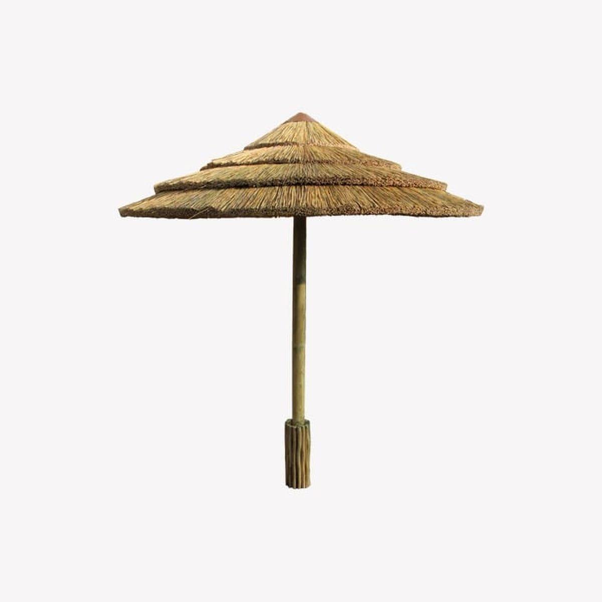 ธรรมชาติ