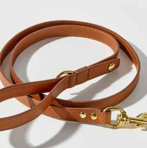 High Quality Green Leather Hound Dog <b>Collar</b> for Greyhound and <b>Whippet</b> - Product Image 1