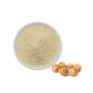 ผงสกัดรสเฮเซลนัทราคาส่ง ผงเฮเซลนัทธรรมชาติ - Product Image 6