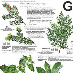 Affiche murale allemande DIN A1 sur les plantes toxiques - Product Image 2