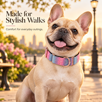 Collier pour chien à écailles de sirène, accessoires en or rose, réglable, en nylon tissé doux dégradé, logo personnalisé, OEM, vente en gros