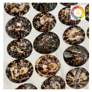 Conchas pulidas de lapa de Vietnam Limpieza de alta calidad Ideal para manualidades y regalos - Product Image 4