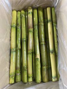 Bâtons et morceaux de canne à sucre congelés du Vietnam pelés prêts à l'emploi Premium Bulk Exporter - Product Image 4