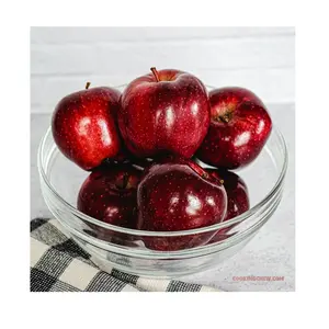 La mejor calidad, bajo precio, existencias a granel disponibles de deliciosas manzanas rojas frescas naturales para exportar en todo el mundo desde Alemania