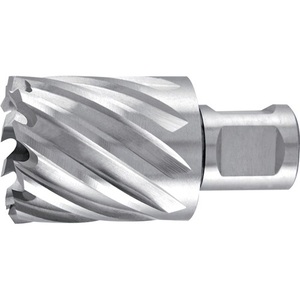 Foret à noyau HSS multifonction, diamètre 17 mm, profondeur de coupe 30 mm, tige Weldon, RUKO - Product Image 1
