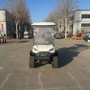 Carritos de golf VIP de lujo a precio económico, de 2 a 8 asientos, con asientos de cuero premium, luces LED, batería de largo alcance, para uso de invitados, en venta. - Product Image 6