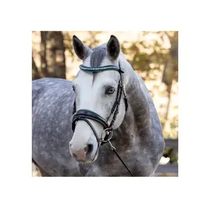 intelligent New Arrived The Jewel Rock Crystal Snaffle Bridle Horse Products Supplier Export in India