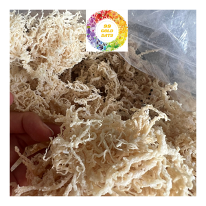 Musgo de mar irlandés seco al por mayor Eucheuma Cottonnii algas limpias tamaño grande calidad superior mejor para ensalada Seamoss - Product Image 6