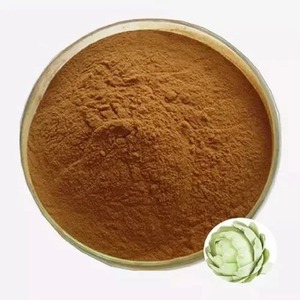 Extracto de Alcachofa Natural en Polvo, Grado Alimenticio, Polvo de Hoja de Cynara Scolymus, Finamente Procesado, Extracto Botánico de Planta Herbal - Product Image 2