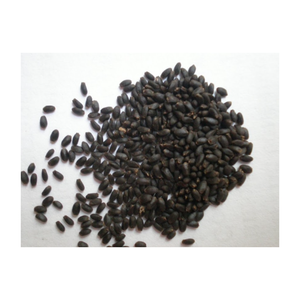 Obtenez les meilleures graines de basilic du Vietnam avec notre super offre 2025, parfait pour les commandes en gros et l'exportation internationale - Product Image 5