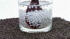 PURE VEGAN BASIL SEEDS NATURAL PLANT INGREDIENTS FOR HYDRATION /ENERGY/ AND IMMUNE FUNCTION - Product Image 2