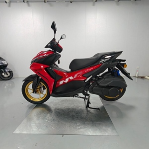 Scooter a Gas per Adulti ad Alte Prestazioni, Omologato per Strada, con Doppi Freni a Disco e Trasmissione CVT per Spostamenti Quotidiani - Product Image 6