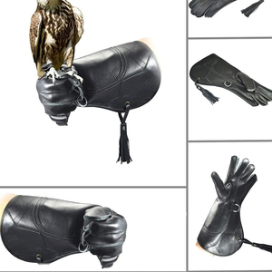 ถุงมือฟอลคอนรีสำหรับฝึกแบบสีต่างๆผลิตจากโรงงานมืออาชีพ - Product Image 6