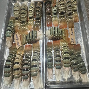 Compre colas de langosta congeladas de calidad superior en stock para venta inmediata, entrega rápida disponible a un precio al por mayor asequible - Product Image 3