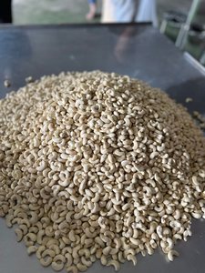 Anacardos SP/LP/W180/W240/W320 a precio de fábrica - Product Image 3