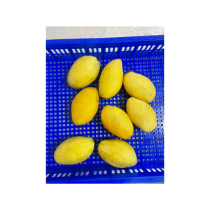 Trozos de mango congelados naturalmente dulces de Vietnam procesados bajo la moderna tecnología IQF perfectos para helados de jugo - Product Image 6