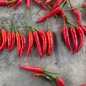 พริกแดงดิบเกรดพรีเมี่ยมจากเวียดนามสดใหม่พร้อมการสนับสนุนหลังการขายที่เชื่อถือได้สำหรับผู้นำเข้าเครื่องเทศ - Product Image 3