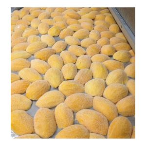 Cubes/tranches de mangue congelés en gros pour l'exportation-Fruits congelés de l'usine du Vietnam à vendre - Product Image 3