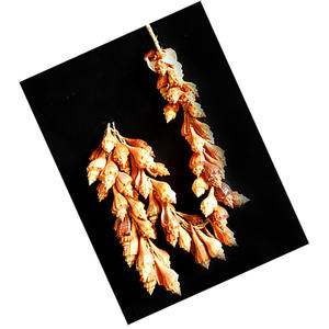 Concha de Tessell Brown, Joyería de Conchas Marinas, Tamaño 100 cm, Producto Artesanal Natural - Product Image 2