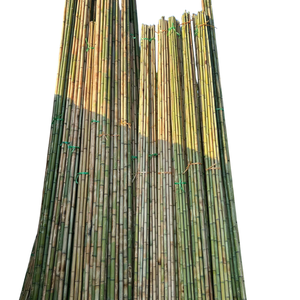 Anti-Termite Treated Bamboo Arches for Resort Style <b>Outdoor</b> Decoration - Product Image 4