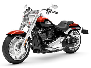 Oferta Anual 2025 FLFB Fat-Boy Nueva (Motocicleta) en Venta - Product Image 3