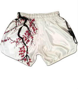 Fairtex Street King Mua กางเกงขาสั้นมวยไทยหลากสีสายรัดยืดหยุ่น Jiu Jitsu - Product Image 6