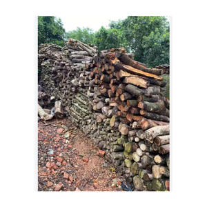 Bois de chauffage en acajou prêt à l'exportation fourni en vrac pour les marchés du chauffage durable - Product Image 5