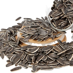 Graines de tournesol biologiques séchées style Snack approvisionnement brut et sain - Product Image 6