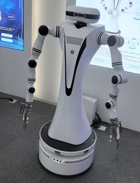 Multi Axis Programmable Lifting Robot 4G/Wi-Fi/App Control Metal Construction for New Retail Unmanned Supermarket Automation