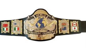 Ceinture de championnat WF Hogan 87 en cuir véritable plaqué or - Product Image 1