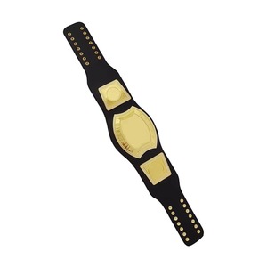 เข็มขัดแชมป์โลกแบบกำหนดเองเข็มขัดสร้างชื่อนักเพาะกายคุณภาพสูง - Product Image 3