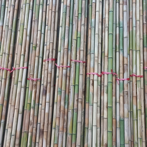 ไม้ไผ่ปรับแต่งได้ตามต้องการวัตถุดิบจากไม้ไผ่ธรรมชาติเวียดนามปรับความยาวได้ตามต้องการสำหรับสวนอาคาร - Product Image 4