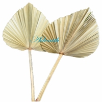 Feuilles de palmier séchées exotiques séchées pour la décoration de mariage décoration de fête feuilles de palmier Jambo pour une décoration au toucher réel