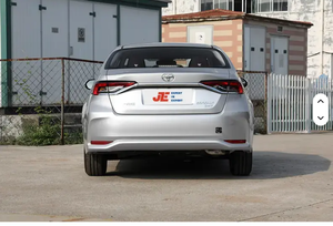 Offre spéciale OEM industriel bricolage fenêtre électrique conduite à gauche véhicule à énergie nouvelle à vendre - Product Image 5