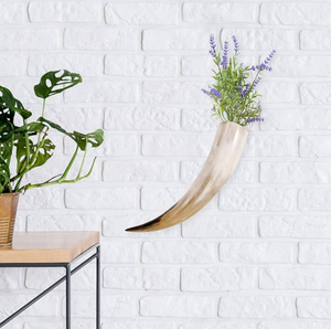 Maceta de cuerno de búfalo para actividades, decoración de escritorio, maceta de cuerno de búfalo de alta calidad para el hogar y hoteles - Product Image 3