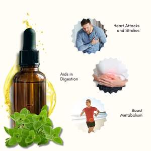 Aceite Esencial de Orégano 100% Puro (Destilado al Vapor a Partir de Hojas de Orégano) Certificado GMP para Exportación y Uso Industrial - Product Image 2