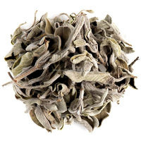 Extrait Herbal de Feuilles de Sauge Officinale CareQue Salvia Tulsi Grade A+ Feuilles Brutes Séchées Extraction par Solvant en Tambour