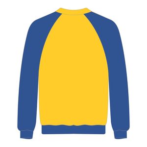 Sudadera con Mangas Raglán de la Hermandad Griega Gold Sigma Gamma Rho, Bordado Chenille, Moda Universitaria Divine Nine, Estilo HBCU - Product Image 3